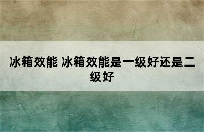 冰箱效能 冰箱效能是一级好还是二级好